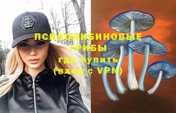 крисы Алексеевка