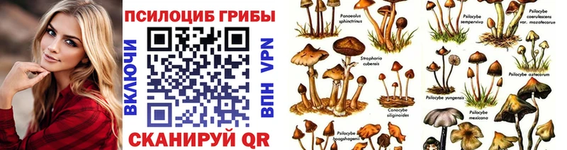 дарнет шоп  hydra маркетплейс  Псилоцибиновые грибы Psilocybe  Благовещенск 