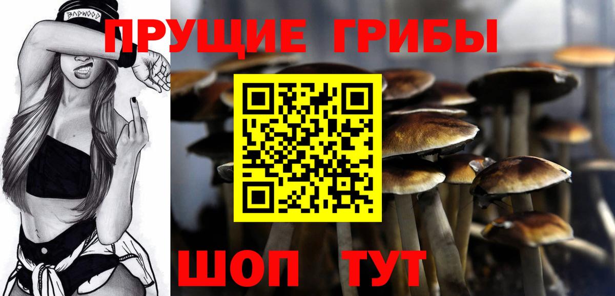 Псилоцибиновые грибы GOLDEN TEACHER  Вход с VPN  Благовещенск 